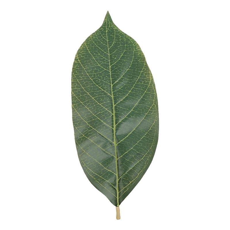 Kunstmatige groene Magnolia bl - Home Decor Catalog recensie en prijs